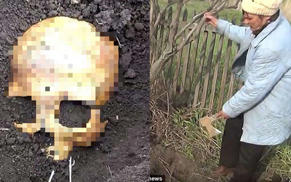 Đào được hộp sọ khi đang làm vườn, chú nông dân Nga sợ mất mật khi vợ bảo "Chồng cũ em đấy, chôn lại đi anh"