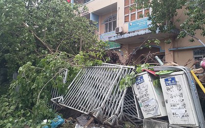 Cổ thụ ngã, đè hàng chục xe máy tại quận 10