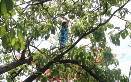 Đang đi, cô gái quăng xe leo lên cây nhảy nhót
