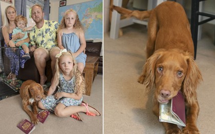 Góc đen đủi: Gia đình 5 người bị chó cưng cắn nát 2 quyển hộ chiếu ngay trước ngày đi nghỉ dưỡng xa xỉ
