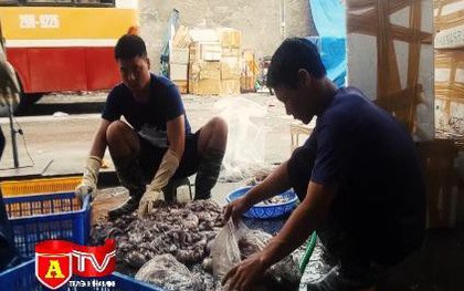 Xem quy trình "biến" bạch tuộc đen thành trắng tinh sau 30 phút