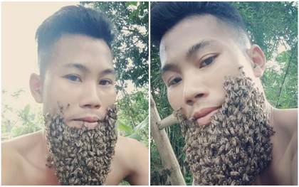 Thanh niên từng dũng cảm selfie bên tổ ong vò vẽ lại vừa khoe ảnh bộ râu mới "mọc" từ hàng trăm con ong mật