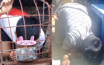 Xuất hiện nhiều thanh thiếu niên chui vào chuồng, ăn thức ăn động vật để quay clip đăng Youtube kiếm view