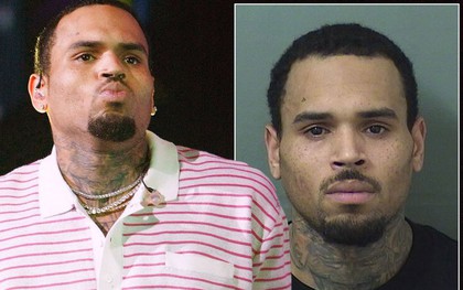 Chris Brown tiếp tục bị bắt giam vì tội đánh người sau scandal hành hung Rihanna