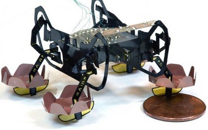 Harvard phát triển thành công robot đổ bộ siêu nhỏ có thể bơi lội, đi bộ dưới nước và lên bờ thành thạo