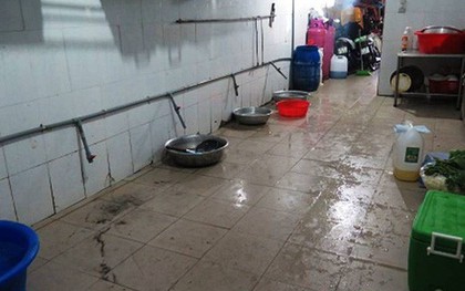 Cơ sở sản xuất suất ăn công nghiệp ở TP.HCM chia thức ăn dưới sàn nhà, nuôi chó trong khu vực chế biến