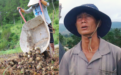 Nỗi đau vì nông sản Trung Quốc nhái hàng Đà Lạt: "3 tháng trồng khoai không bán được đồng nào, chỉ biết khóc..."