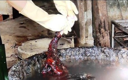 Nghệ An: Hãi hùng cơ sở giết mổ làm sạch lông vịt bằng nhựa thông và hàn the