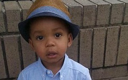 Mỹ: Cậu bé 2 tuổi bị chính 3 con chó Pitbull nhà nuôi cắn chết