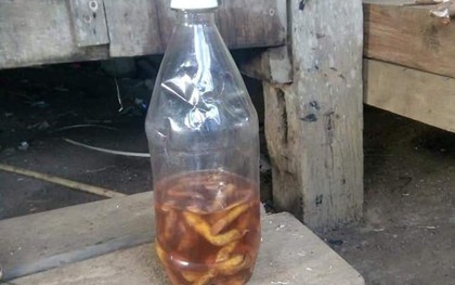 Uống rượu ngâm rễ cây lạ, 2 cậu cháu tử vong