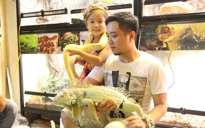 Ông bố trẻ ở Hà Nội và bộ sưu tập những con vật "nhìn thôi đã sợ": Đủ các loài rắn, nhện, ếch cho đến rồng đất