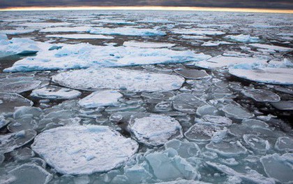 Bể nước ấm khổng lồ đang "nung chảy" Bắc Cực
