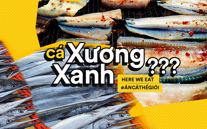 Loài cá xương xanh "sát thủ" của Kiên Giang vậy mà lại khiến bao người mê mẩn, thích thú