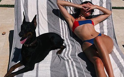 Cảnh sát kéo đến khi chó của Kendall Jenner cắn một bé gái, siêu mẫu và bạn trai liền "đánh bài chuồn"