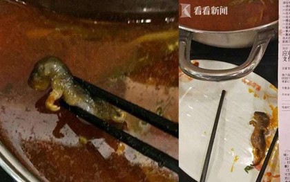 Thai phụ ăn phải nồi lẩu có xác chuột chết, nhà hàng gây phẫn nộ khi đòi cho tiền để phá thai nếu đứa trẻ trong bụng bị ảnh hưởng