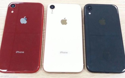 Rối não với tên gọi của iPhone giá rẻ sắp ra mắt: Hết iPhone 9, iPhone Xc, giờ lại thành iPhone Xr