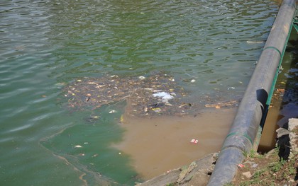 Tảo lam, rác thải nổi lềnh bềnh, bốc mùi hôi khó chịu trên hồ Xuân Hương