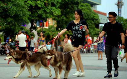 Đề xuất cấm người dân mang chó, mèo vào phố đi bộ Hồ Gươm: Người đồng tình, người cho rằng chưa hợp lý