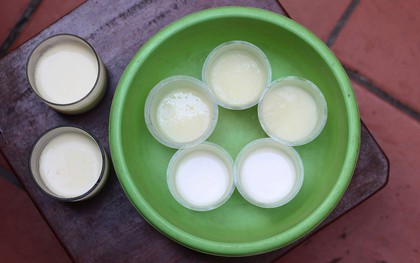 Hàng sữa chua "rẻ bèo" ở Hàng Bài mà chỉ thổ địa mới biết