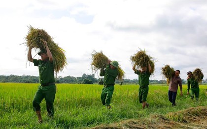 Công an giúp người dân di dời nhà cửa, gặt lúa “chạy” bão Mangkhut