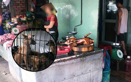 Người bán thịt chó ở Sài Gòn: “Có đến 80-90% là chó bị trộm hoặc bị đánh thuốc”