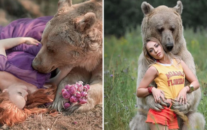 Bị chỉ trích vì ăn bám bố mẹ nuôi suốt 25 năm, chú gấu nâu quyết định đi làm mẫu ảnh rồi trở thành ngôi sao MXH Nga