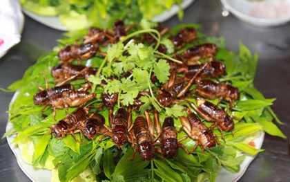Ở vùng Long Khánh có một món đặc sản thử thách độ can đảm của nhiều người nhưng ai ăn xong cũng mắc ghiền