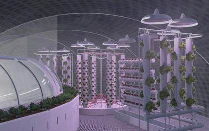 Cận cảnh ngôi nhà Sao Hỏa của NASA