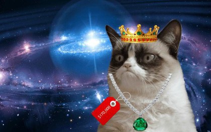 Ai đó vừa trả 4 tỷ đồng để mua một chú mèo ảo CryptoKitty