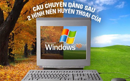 Câu chuyện trái ngang đằng sau 2 hình nền huyền thoại của Windows XP