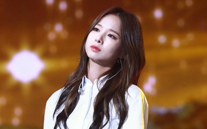 Vượt qua trăm ngàn khó khăn, các giọng hát chính này mới có cơ hội được tỏa sáng