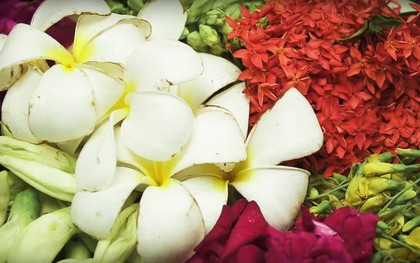 Đặc sản hoa đủ loại rán giòn ở Thái Lan khiến ai đi ngang cũng tình nguyện rút hầu bao