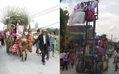 Tổng hợp các đoàn đón dâu bằng trâu, ngựa, công nông chất nhất MXH thời gian qua