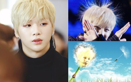 Tóc bỗng dựng ngược trên sân khấu, "center quốc dân" Kang Daniel thành nguồn cảm hứng chế ảnh bất tận