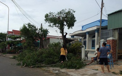 Dân đảo Phú Quý hạ cây, neo thuyền... chờ bão số 9