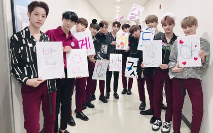 Rộ tin hai thành viên ra mắt solo sau khi Wanna One tan rã, một người bị mỉa "đừng nhảy, hát ballad thôi"