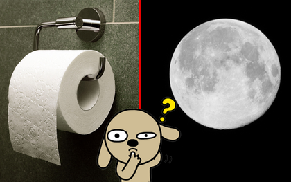 Trào lưu selfie "ngố tàu" nhất lịch sử Internet: Đua nhau dùng giấy vệ sinh để... biến thành mặt trăng