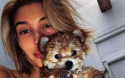 Ôm chú cún nhỏ lắc lư liên tục, vợ Justin Bieber ăn cả "rổ gạch" vì bạo hành động vật