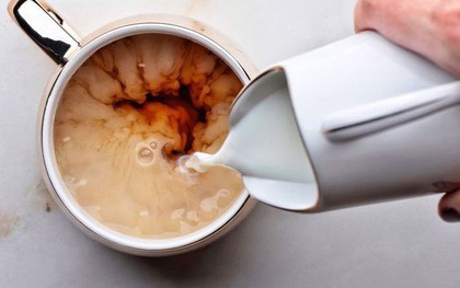 Chuyện uống trà đậm: người say trà xây xẩm, người khen trà "xịn", sự thật là thế nào?