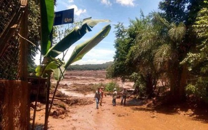 Vụ vỡ đập ở Brazil: Nhiều gia đình nuôi hi vọng tìm thấy người thân