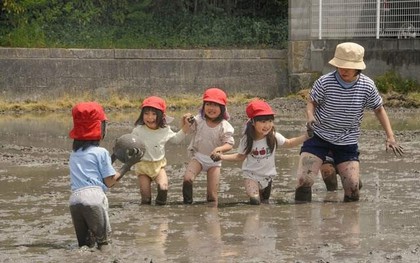 Phương pháp giáo dục mẫu giáo của Nhật Bản khiến nhiều cha mẹ Việt phải ngả mũ thán phục