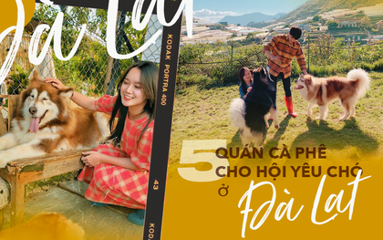 Lên Đà Lạt hóa “con sen” ở 5 quán cafe cún siêu dễ thương, giờ chụp ảnh check-in với boss mới là hot trend nhé!