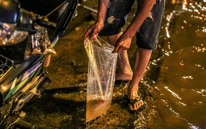 Ảnh, clip: Người Sài Gòn bắt cá trên đường ngập trong ngày triều cường tiếp tục dâng cao