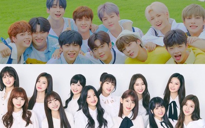 Xôn xao thông tin công ty của các thành viên X1 và IZ*ONE họp bàn tan rã, Mnet chính thức lên tiếng phủ nhận