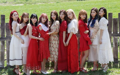 "IZ*ONE phiên bản 2.0" thông báo tái xuất lần 3 năm 2019, liệu có vượt thành tích của Red Velvet và GFRIEND?