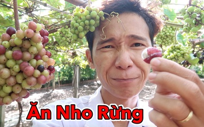 Lâm Vlog - YouTuber nghỉ học năm lớp 11 sở hữu kênh YouTube gần 3 triệu subs, được đánh giá "chất lượng nhất Việt Nam" là ai?