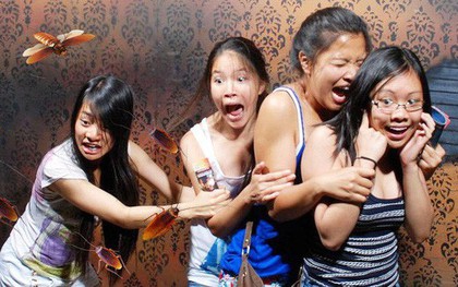 Khảo sát mới cho thấy người Singapore sợ gián hơn cả sợ chết