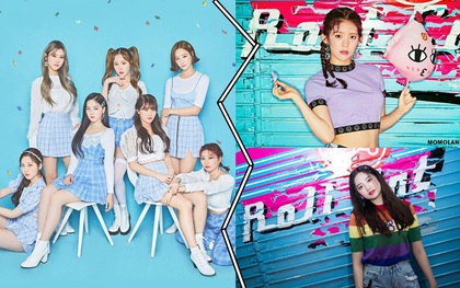 Động thái lạ của MOMOLAND và công ty: Phớt lờ sự tồn tại của Daisy và Taeha, ngầm khẳng định nhóm chỉ còn 7 người?