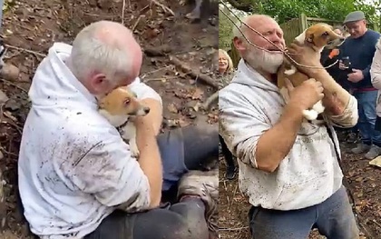 Miệt mài tìm chó cưng mất tích 2 ngày trời, phản ứng của người đàn ông sau khi cứu được nó ra khỏi hố sâu khiến ai cũng cảm động