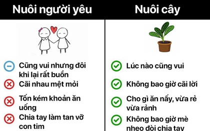 Chán khẩu nghiệp, các “liền anh”, “liền chị" tìm ra thú vui mới xịn sò, rủ nhau bớt sân si